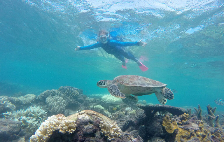 Great Barrier Reef Snorkelling | Reef Adventures