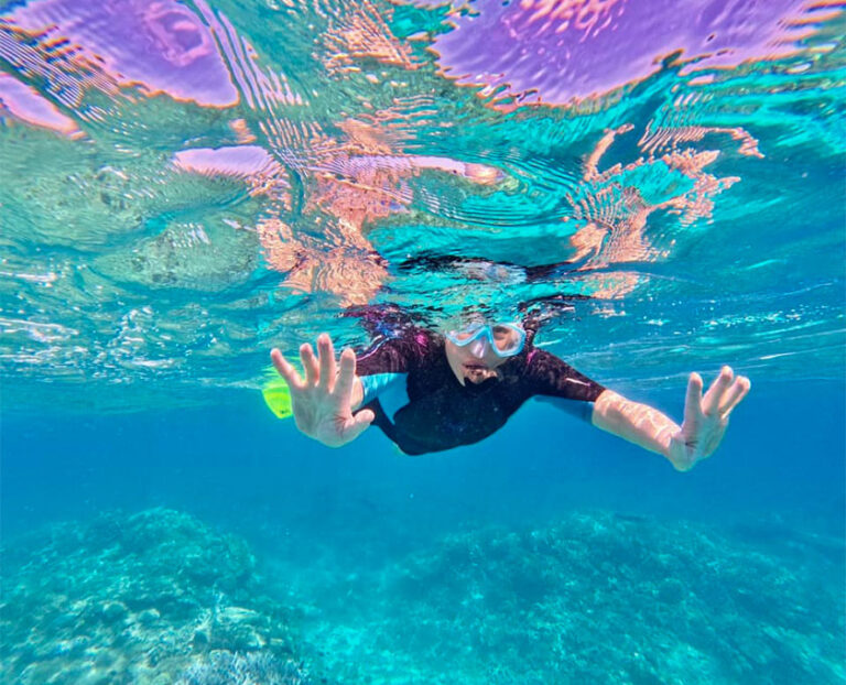 Great Barrier Reef Snorkelling | Reef Adventures